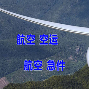 高崎航空物流快递-选东方航空和上海航空