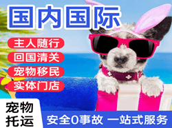 高崎航空物流国际宠物托运 【国